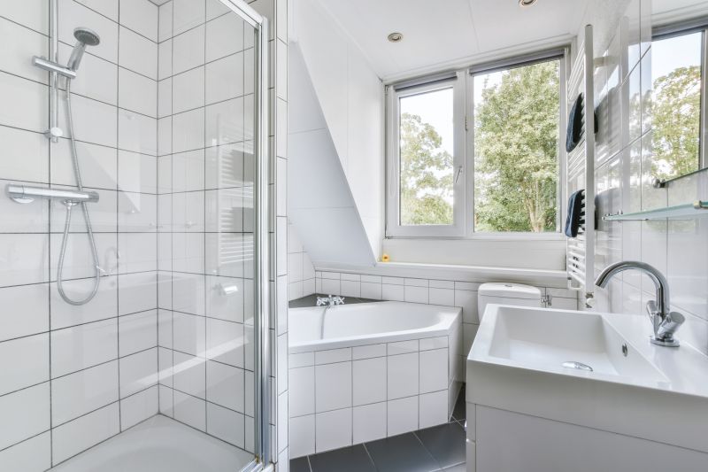 Best Shower Remodeling Contractors in Ankeny, IA